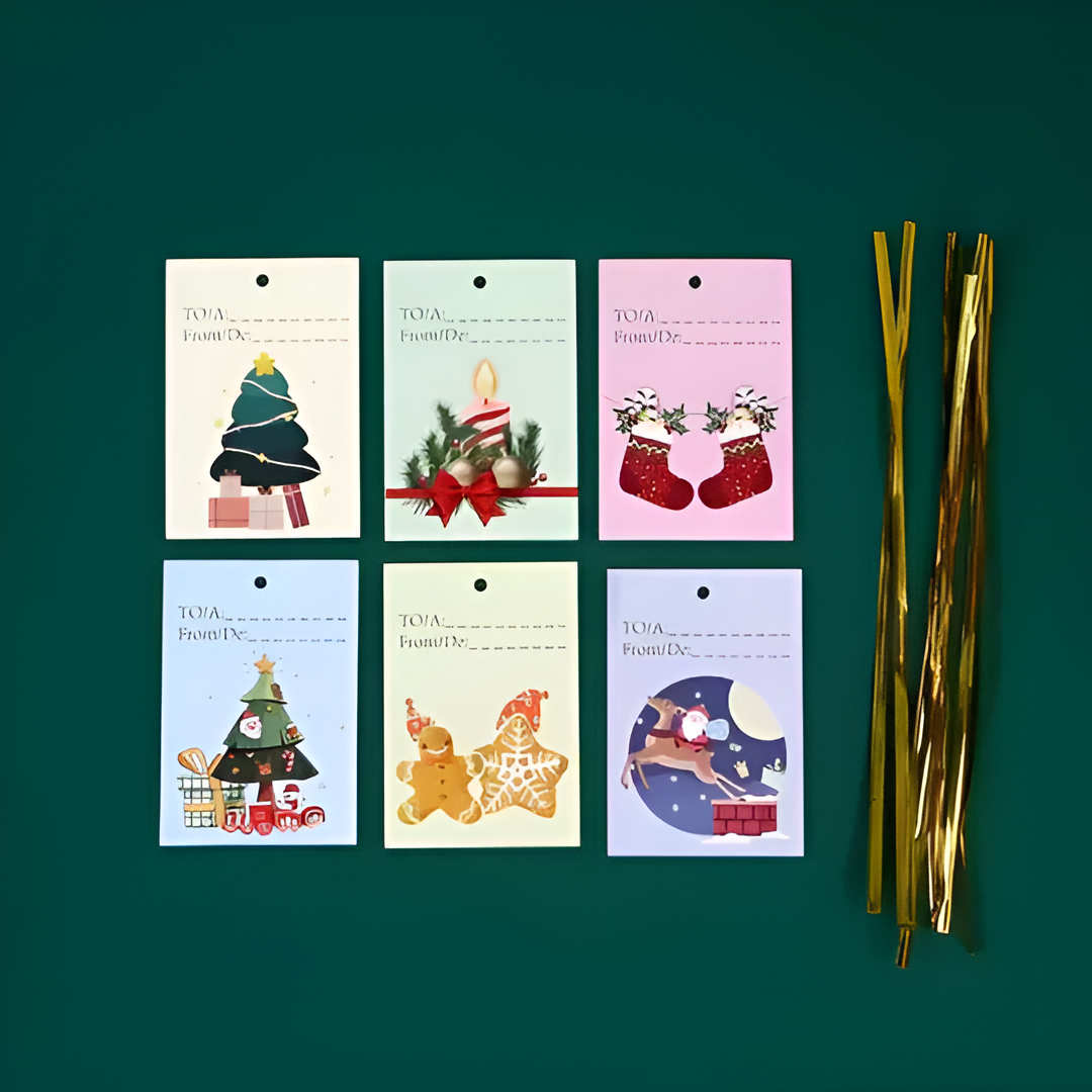 Stocky Express Gift Bags & Tags Set (Biodegradable)